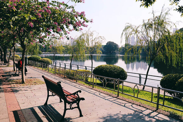 Lush lakeside park with trees, benches, and sidewalks.
